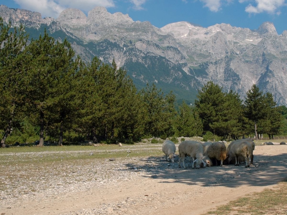 I monti Prokletije confinano con l'Albania, Montenegro e Kosovo