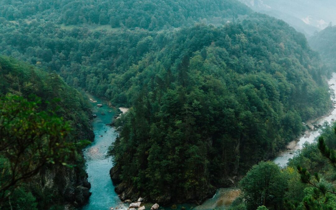 Navigazione del fiume Tara in Montenegro, quando?